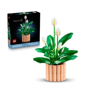 Lego Botanicals Barış Çiçeği 11504