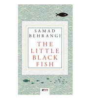 The Little Black Fish