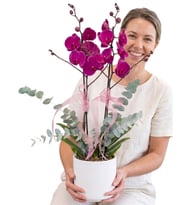 Beyaz Seramik Saksıda Çift Dal Mor Phalaenopsis Orkide ve Okaliptuslar