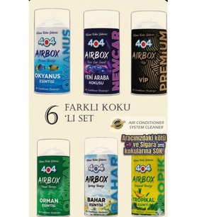 Oto Klima Koku Giderici Tazeleyici Set