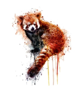 Red Panda Tablo Ahşap Poster Dekoratif