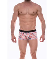 Mulvxbrf Brf02  Erkek Desenli Boxer (Mulvix)