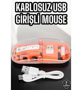 Mouse Çift Modlu Kablosuz Bağlantılı 2.4Ghz Destekli - Lisinya