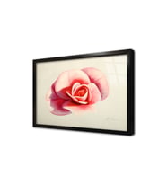 Pembbe Gül Çerçeveli Cam Tablo