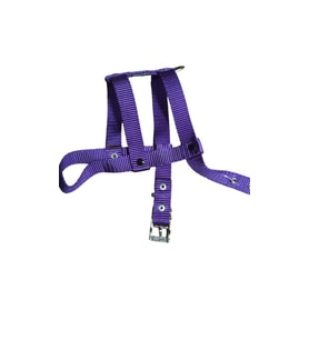 Lovely Ayarlanır Köpek Göğüs Tasması 2cm 5-17 Kg Aralığındaki Köpeklere MOR