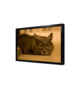 Kedi Çerçeveli Mdf Tablo
