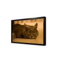 Kedi Çerçeveli Mdf Tablo