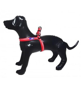 ANS Lüx Ayarlanır Köpek Göğüs Tasması 2,5cm Kalınlıkta, Gövdesi 57-65cm