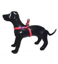 ANS Lüx Ayarlanır Köpek Göğüs Tasması 2,5cm Kalınlıkta, Gövdesi 57-65cm