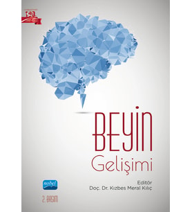 Beyin Gelişimi