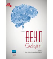 Beyin Gelişimi