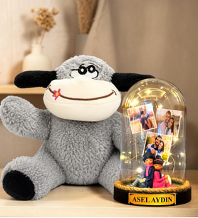 Kişiye Özel 3 Fotoğraflı Yazılı LED Işıklı Fanus ve Peluş Eşek Hediye Seti (sırt sırta aşıklar)