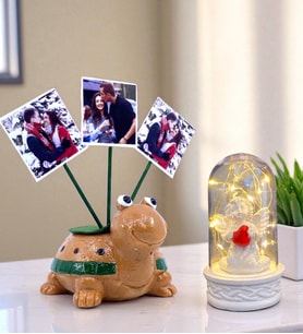 Sizlere Özel 3 Fotoğraflı Kaplumbağa Saksı ve Led Işıklı Beyaz Melekli Fanus (Kahverengi)