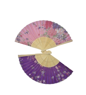 Yelpaze Bambu 2 li set