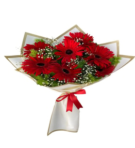 KIRMIZI GERBERA TASARIMI