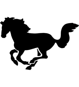 Folyo Sticker At 30cm Uzunluk (Karışık)