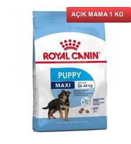 Royal Canin Puppy Maxi Junior Yavru Köpek Maması 1 Kg AÇIK