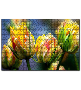 Cakapuzzle Sarı Turuncu Yeşil Tonlarda Lale Çiçeği Puzzle Yapboz MDF (Ahşap) (120 Parça)