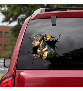 Araba Arka Cam Köpek  Sticker Yapıştırma 17cm A5