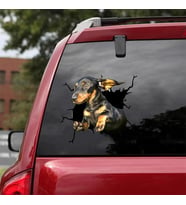 Araba Arka Cam Köpek  Sticker Yapıştırma 17cm A5