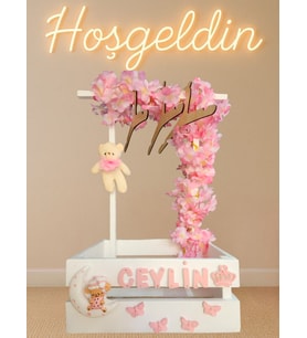 40 Kırk Uçurma Sepeti Bebek Hediye Sepeti teyze-Hala Sepeti 10'lu Hastane çıkışı bebek askılığı