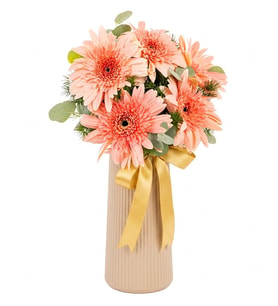 Çizgili Polimer Vazoda Pembe Gerbera Çiçekleri