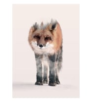 Hondo Kitsune Tablo Ahşap Poster Dekoratif