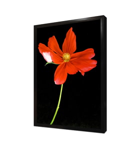 Kırmızı Çiçek Çerçeveli Mdf Tablo