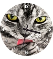 Cakatablo Patilerini Yalayan Kedi Yakın Çekim Duvar Saati
