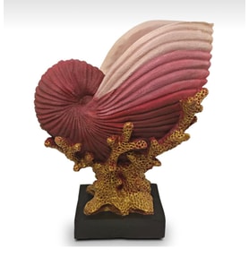 BY ARİ SALYANGOZ VAZO VZ150-13