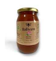 Orman Gülü Balı (Mad Honey) 500 gr.
