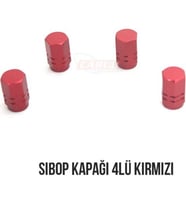 Yeni Sibop Kapağı Nikel Kırmızı Mavi Lastik Valf Kapağı Onkar