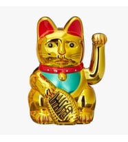 Altın Rengi Şanslı Kedi