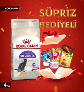 Royal Canin Sterilised 37 Kısırlaştırılmış Yetişkin Kedi Açık Mama 4 KG