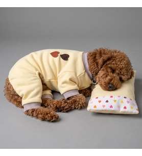 Winter Hearts Köpek Uyku Takımı Pamuklu Penye Köpek Tulumu ve Mini Yastık Küçük Irklar İçin Tüy Dökülmesini Azaltır