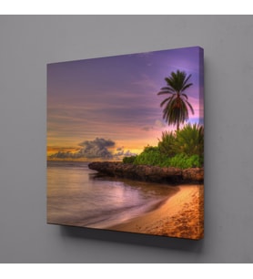 DENİZ KENARI MANZARASI KANVAS TABLO 50x50cm (Karışık)
