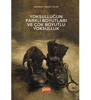 Yoksulluğun Farklı Boyutları ve Çok Boyutlu Yoksulluk