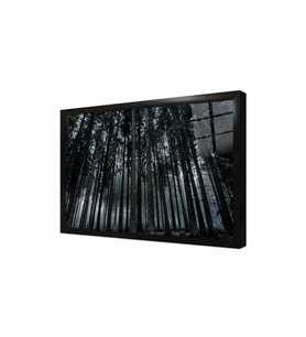 Tablosan Uzun Ağaçlar Orman Çerçeveli Cam Tablo