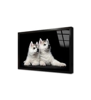 Beyaz Köpek Çerçeveli Cam Tablo