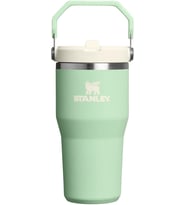 Stanley Iceflow Flip Straw Tumbler Pipetli Termos, 0.60 L, Yeşil