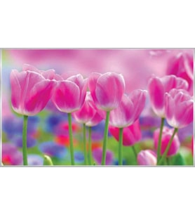 PROWALL POSTER DUVAR KAĞIDI 273 8 PARÇA (3.68mt X 2.54mt)