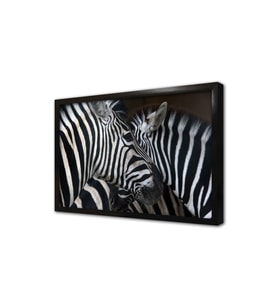 Yakın Çekim Zebra Çerçeveli Mdf Tablo