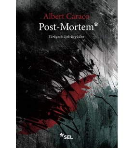Post-Mortem