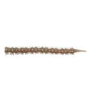 Bibi 70 Mm L-206 Blodyworm