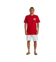Quiksilver Hurricane Or Hippie Moe Erkek Tişört AQYZT09540-30051 (Kırmızı)