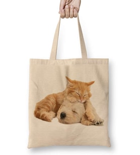 Cats Collection Two Bez Çanta Uzun Saplı