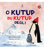 O Kutup Bu Kutup Değil!