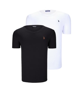İKİLİ SET T8568 DEWBERRY V YAKA ERKEK T-SHIRT-KOYU SİYAH-KAR BEYAZ (Karışık)