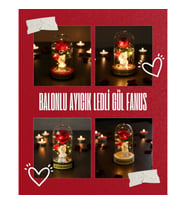 Balonlu Ayıcık Ledli Gül Fanus