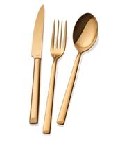 Antares Serisi - Gold Titanyum - 18 Parça